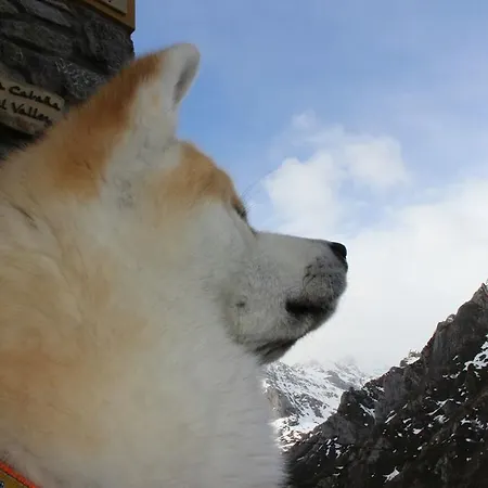 Prázdninový dům La Del Valleyu