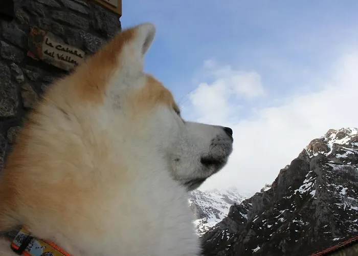 Сasa de vacaciones La Del Valleyu